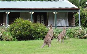 Cedar Lodge Cabins
